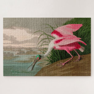 Roseate Spoonbill Birds of America Audubon Print