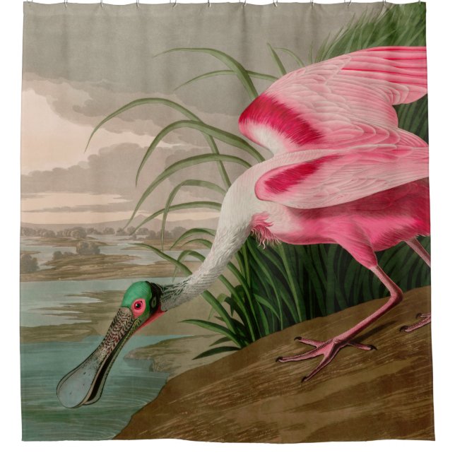 Roseate Spoonbill Birds of America Audubon Print Duschvorhang (Vorderseite)