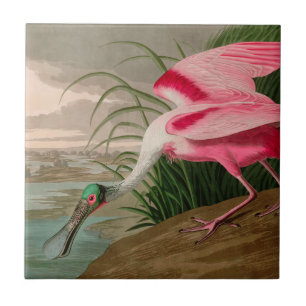 Roseate Spoonbill Birds of America Audubon Print Fliese