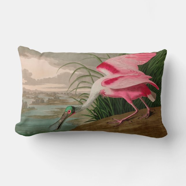 Roseate Spoonbill Birds of America Audubon Print Lendenkissen (Vorderseite)