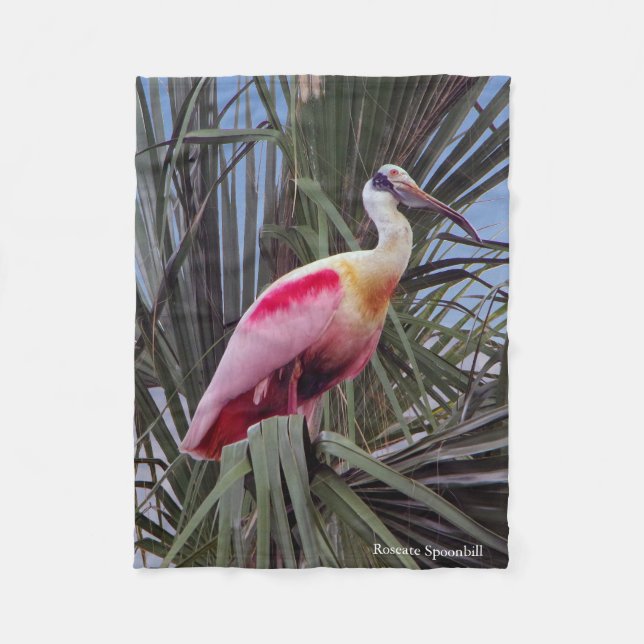 Roseate Spoonbill Fleecedecke (Vorderseite)