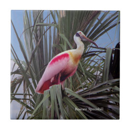 Roseate Spoonbill Fliese