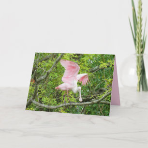 Roseate Spoonbill Grußkarte Feiertagskarte