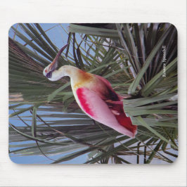 Roseate Spoonbill mousepad