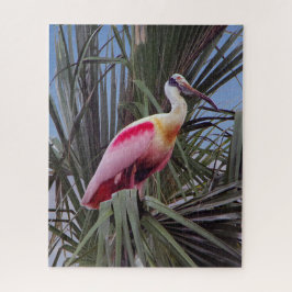 Roseate-Spoonbill-Puzzle