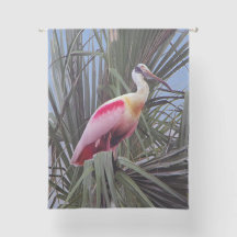 Roseate Spoonbill rideau