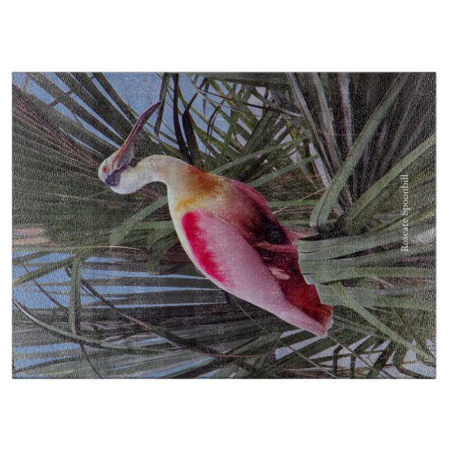 Roseate-Spoonbill-Schneidplatte Schneidebrett (Vorderseite)