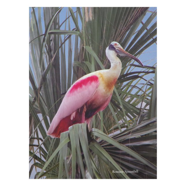 Roseate Spoonbill tablecloth Tischdecke (Vorderseite)