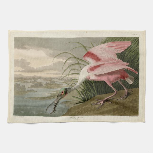 Roseate Spoonbill von Audubons Vögeln Amerikas Geschirrtuch (Horizontal)