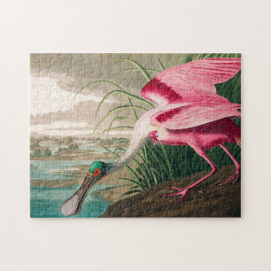 Roseate Spoonbill von John James Audubon