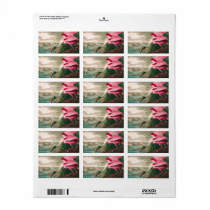 Roseate Spoonbill von John James Audubon Adressaufkleber