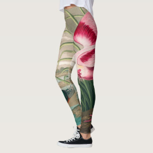 Roseate Spoonbill von John James Audubon Leggings