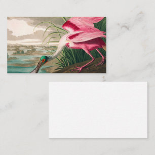 Roseate Spoonbill von John James Audubon Visitenkarte