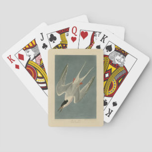 Roseate Tern von Audubons Vögeln Amerikas Spielkarten