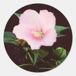 RoseAufkleber Runder Aufkleber