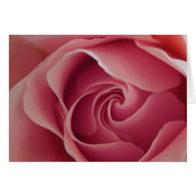 Rosebud (Devant Horizontal)