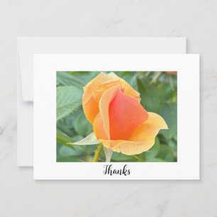 Rosebud Danksagungs-Postkarte Postkarte
