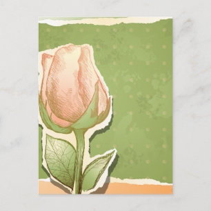 Rosebud vintage en vert, carte postale
