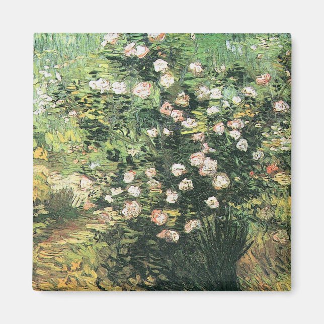 Rosebush in Blossom von Vincent van Gogh Magnet (Vorne)
