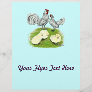 Rosecomb-Bantam und Küken Flyer