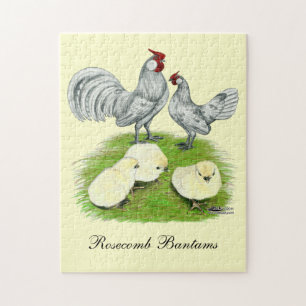 Rosecomb Bantams and Chicks
