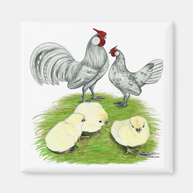 Rosecomb Bantams and Chicks Magnet (Vorne)