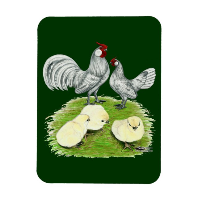 Rosecomb Bantams and Chicks Magnet (Vertikal)