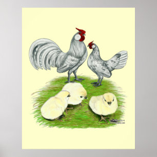 Rosecomb Bantams and Chicks Poster