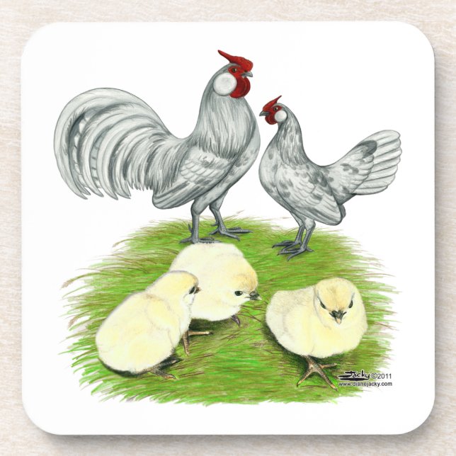 Rosecomb Bantams and Chicks Untersetzer (Vorderseite)