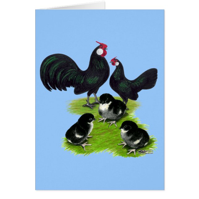 Rosecomb Black Bantam Family (Vorne)