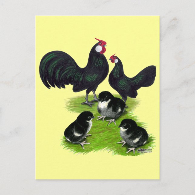 Rosecomb Black Bantam Family Postkarte (Vorderseite)