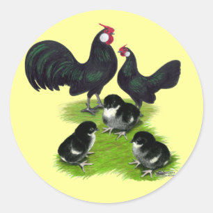Rosecomb Schwarz Bantam-Familie Runder Aufkleber