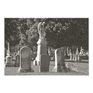 Rosehill III Fotodruck