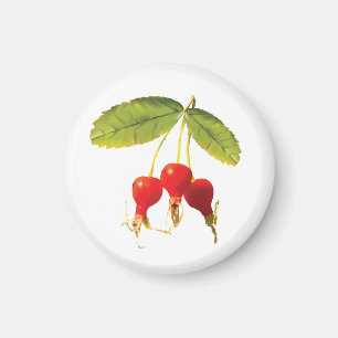 Rosehips Muster 3 Magnet