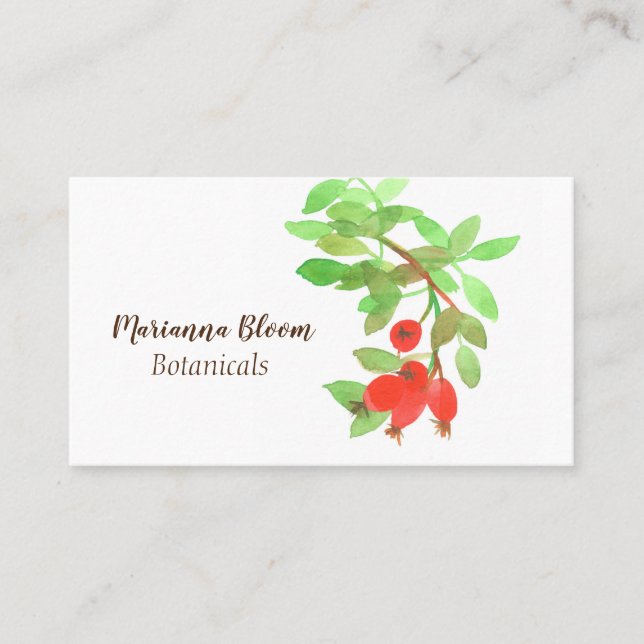 Rosehips Rose Herb Botanische Pflanze Rot Visitenkarte (Vorderseite)