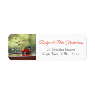 Rosella