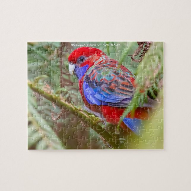 Rosella Birds of Australia (Horizontal)