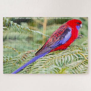Rosella-Papageien Australien Puzzle