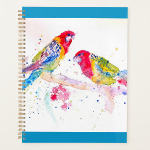 Rosella Parrot Aquarellmaler Planer
