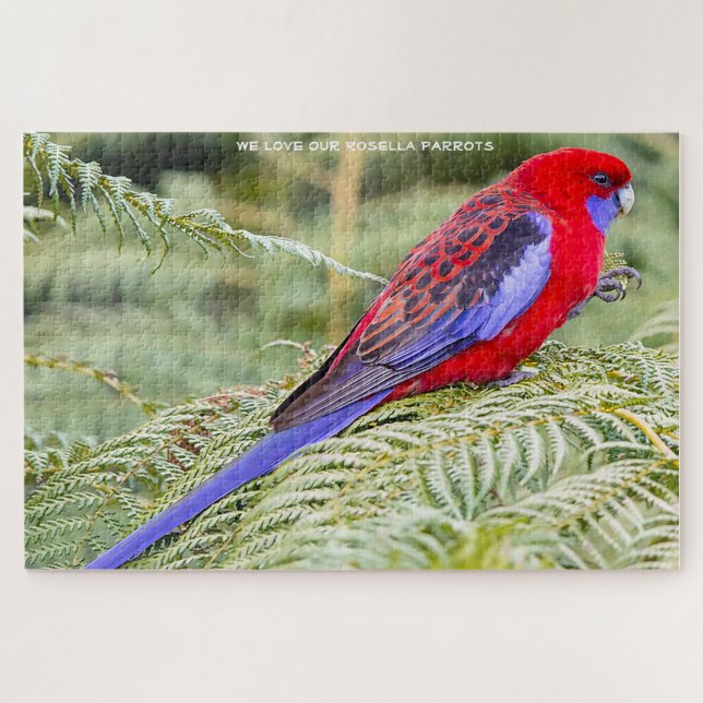 Rosella Parrots Australie Jigsaw Puzzle (Horizontal)