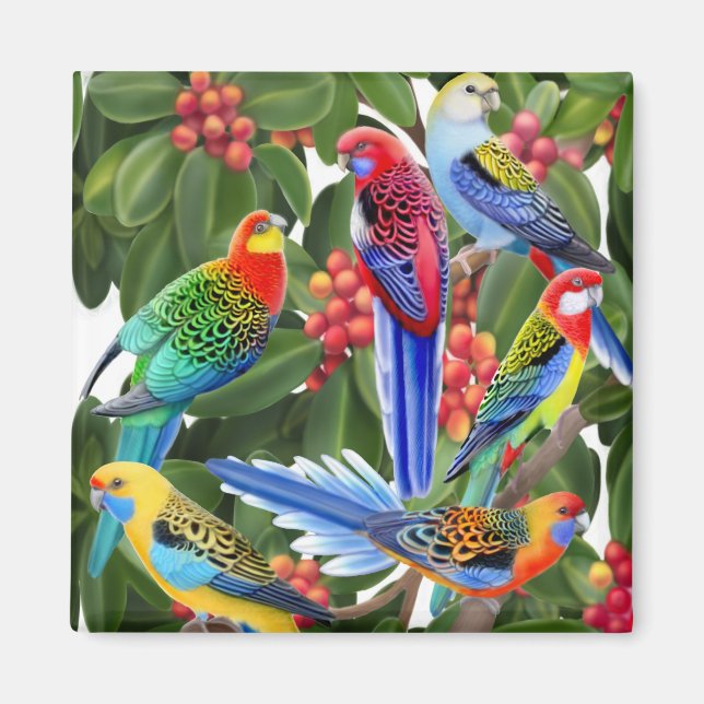 Rosella Parrots in Fig Tree Magnet (Vorne)