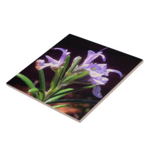 Rosemary Blume Fliese