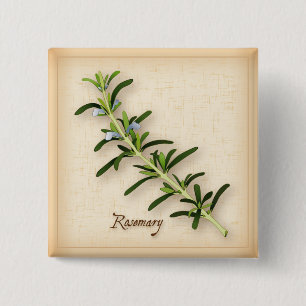 Rosemary Herb Button