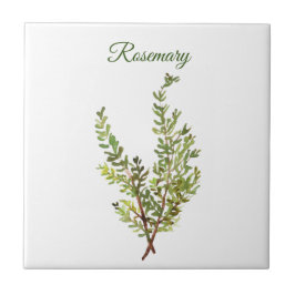 Rosemary Herb Grüne Küche Kulinarisches Grün Fliese