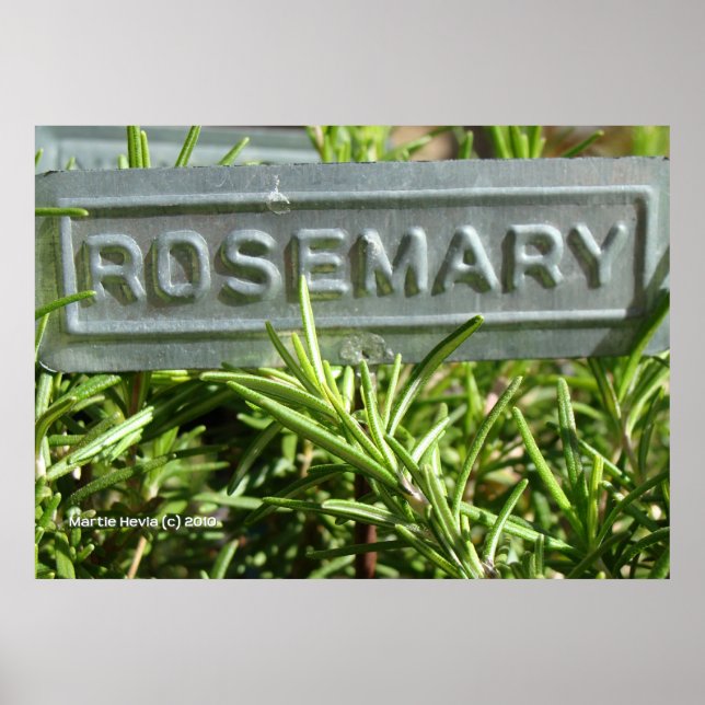 Rosemary Poster (Vorne)