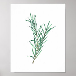 Rosemary Poster