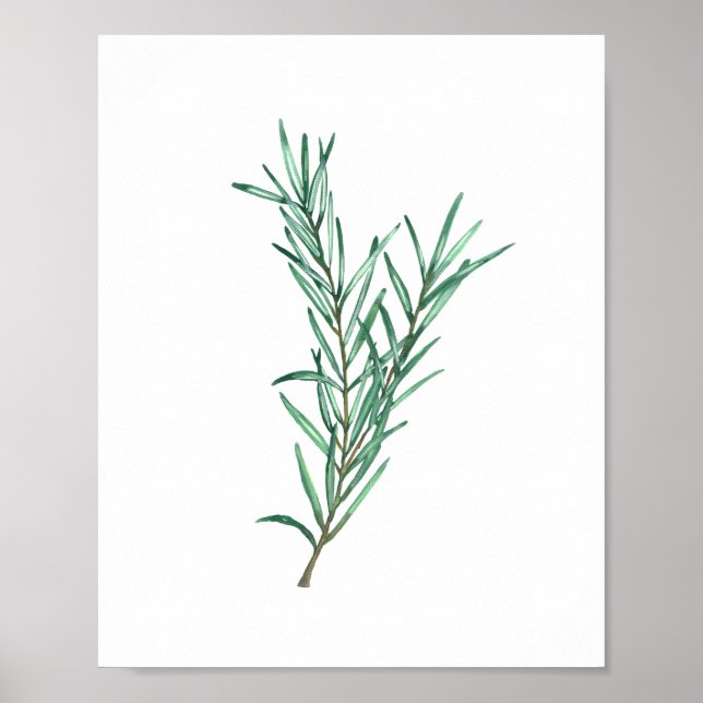 Rosemary Poster (Vorne)