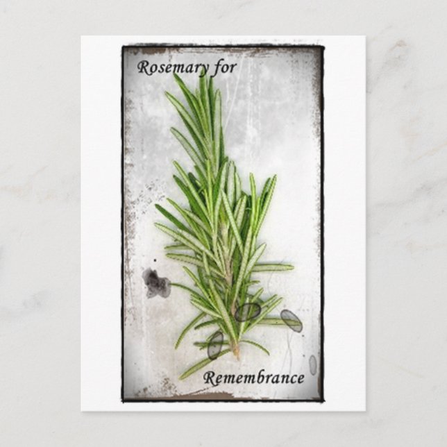 Rosemary Postkarte (Vorderseite)
