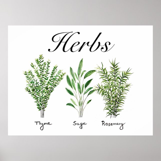 Rosemary Thyme Sage Herbs Küche Koch Poster (Vorne)