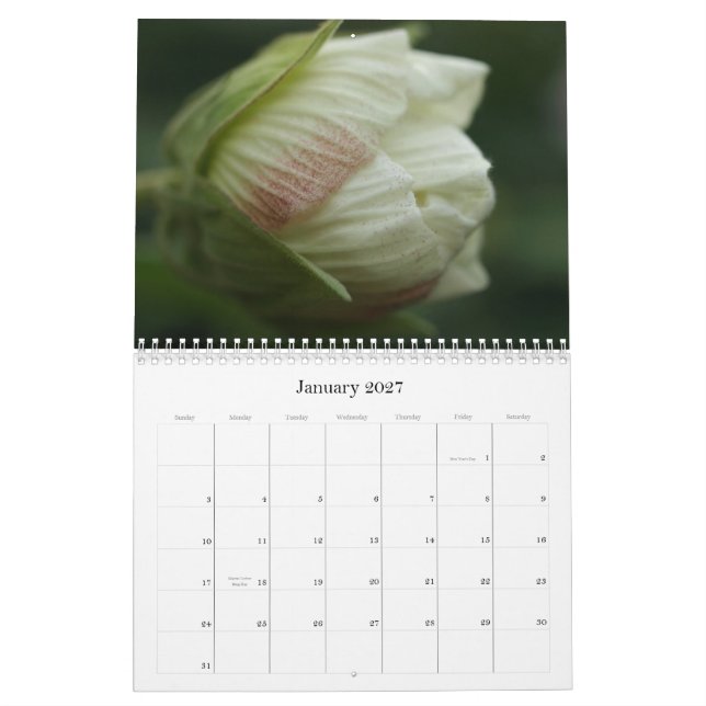 Rosen 2009 kalender (Jan 2027)